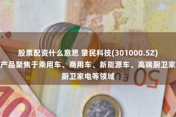股票配资什么意思 肇民科技(301000.SZ)：公司的产品聚焦于乘用车、商用车、新能源车、高端厨卫家电等领域
