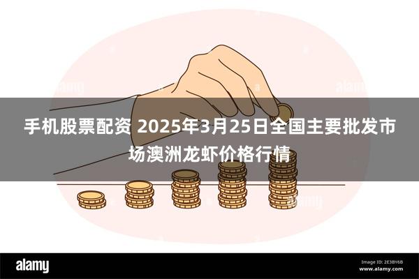 手机股票配资 2025年3月25日全国主要批发市场澳洲龙虾价格行情