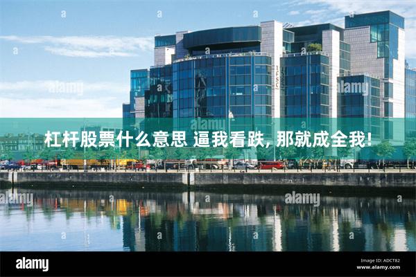杠杆股票什么意思 逼我看跌, 那就成全我!