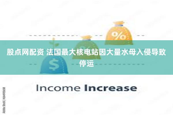 股点网配资 法国最大核电站因大量水母入侵导致停运